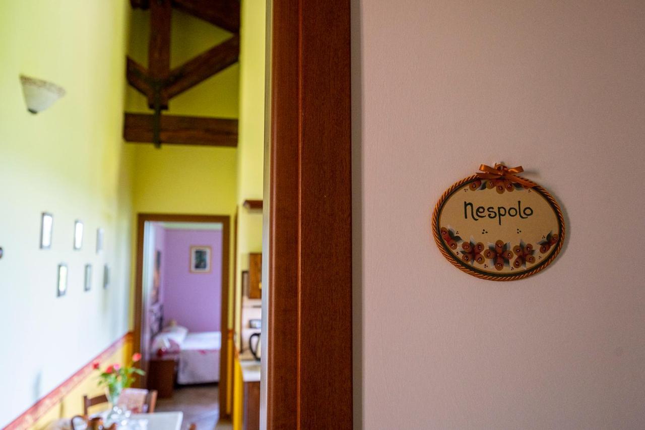 L'Olmo Di Casigliano Villa Cessapalombo Ngoại thất bức ảnh