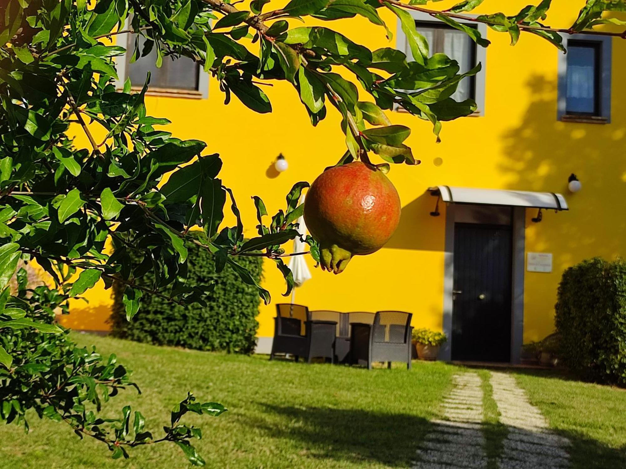 L'Olmo Di Casigliano Villa Cessapalombo Ngoại thất bức ảnh